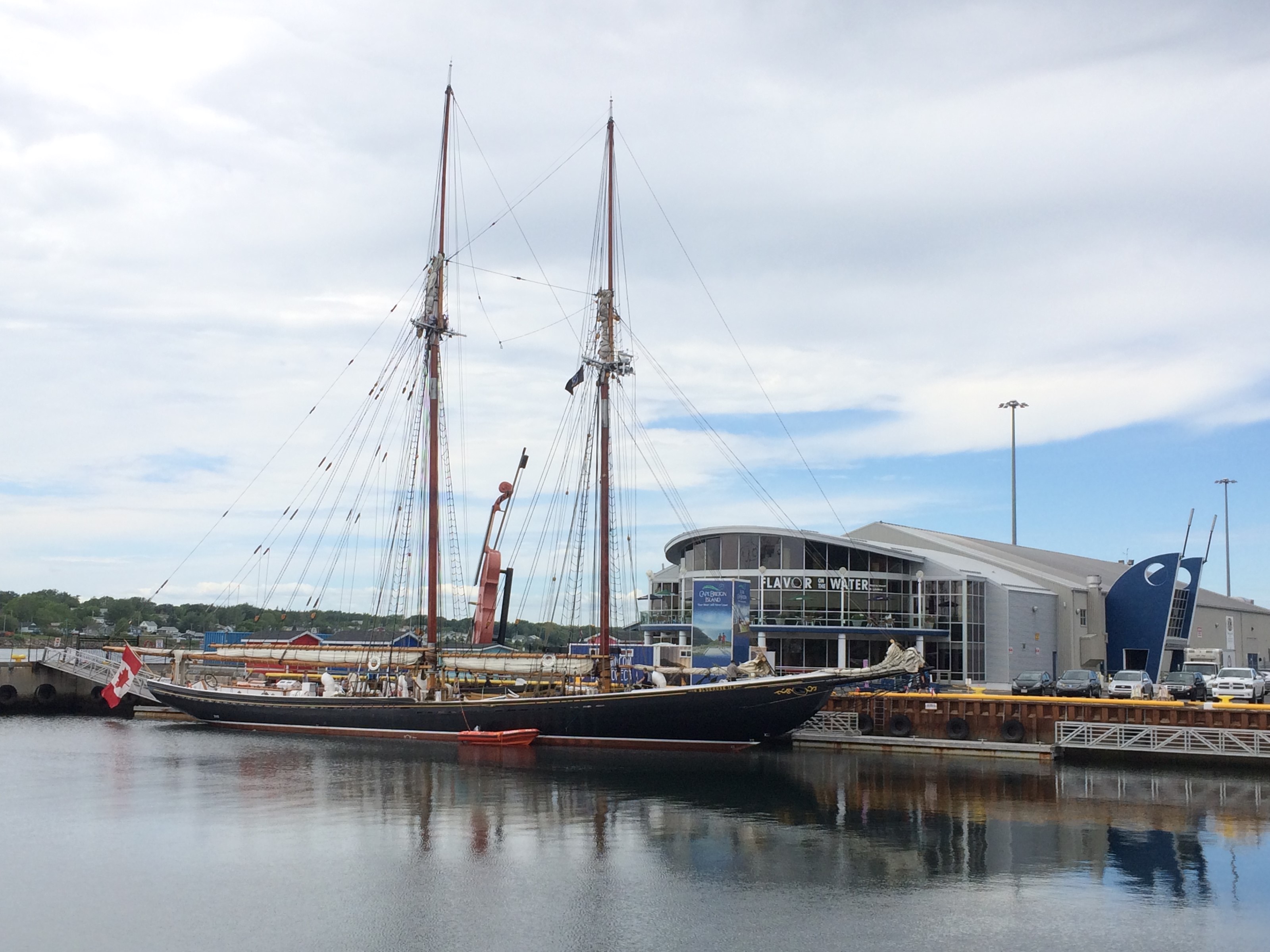 bluenose teddies